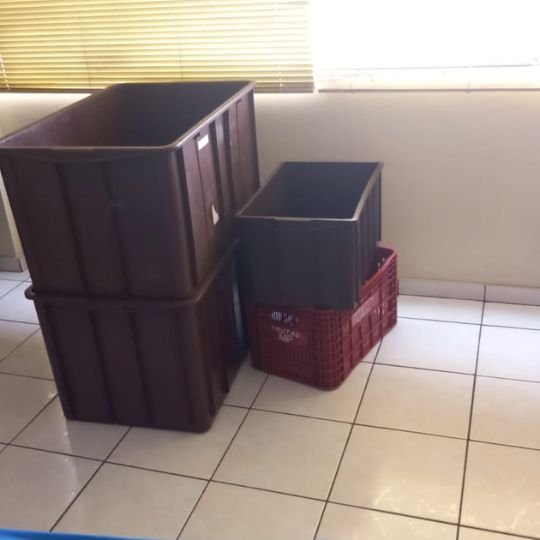 Design sem nome (10)